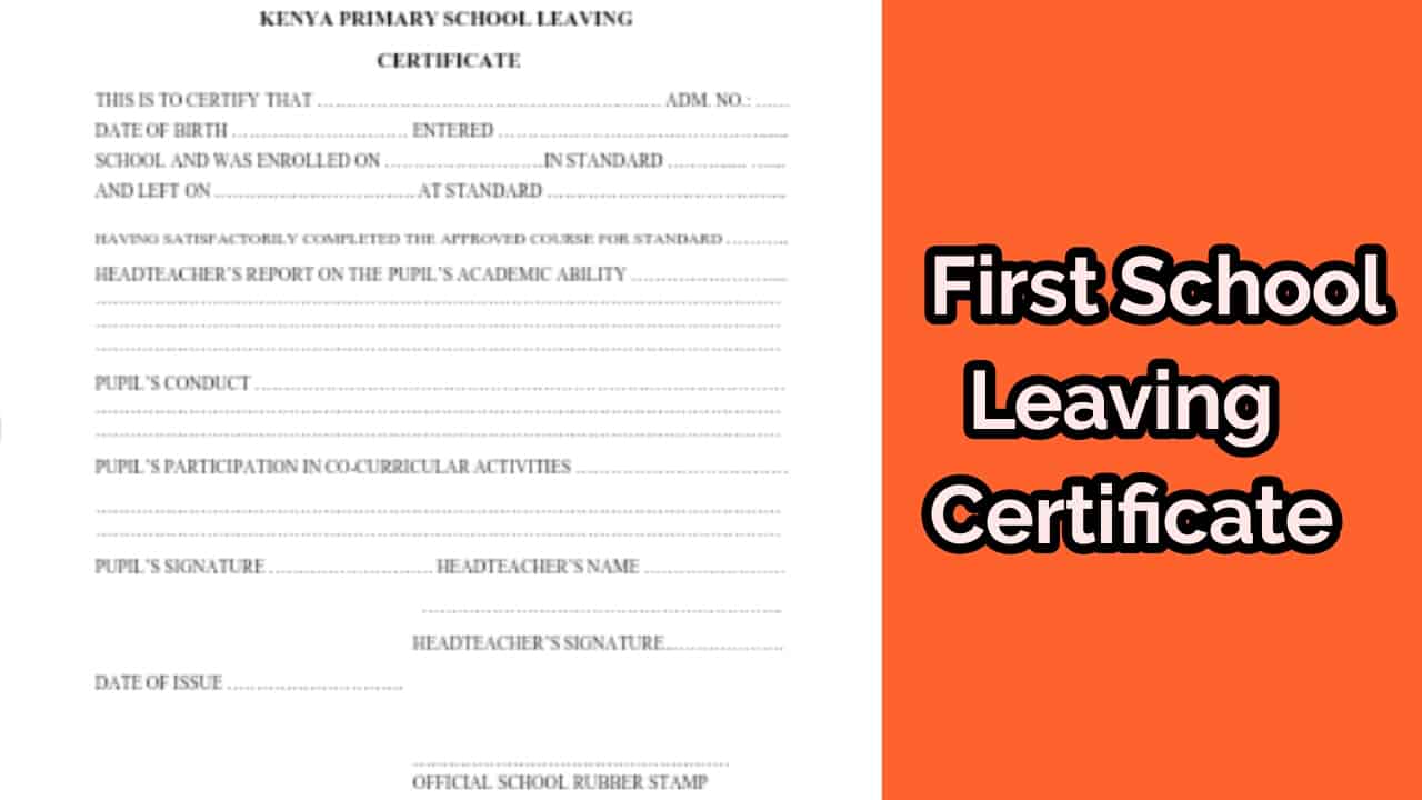 how to retrieve lost first school leaving certificate result