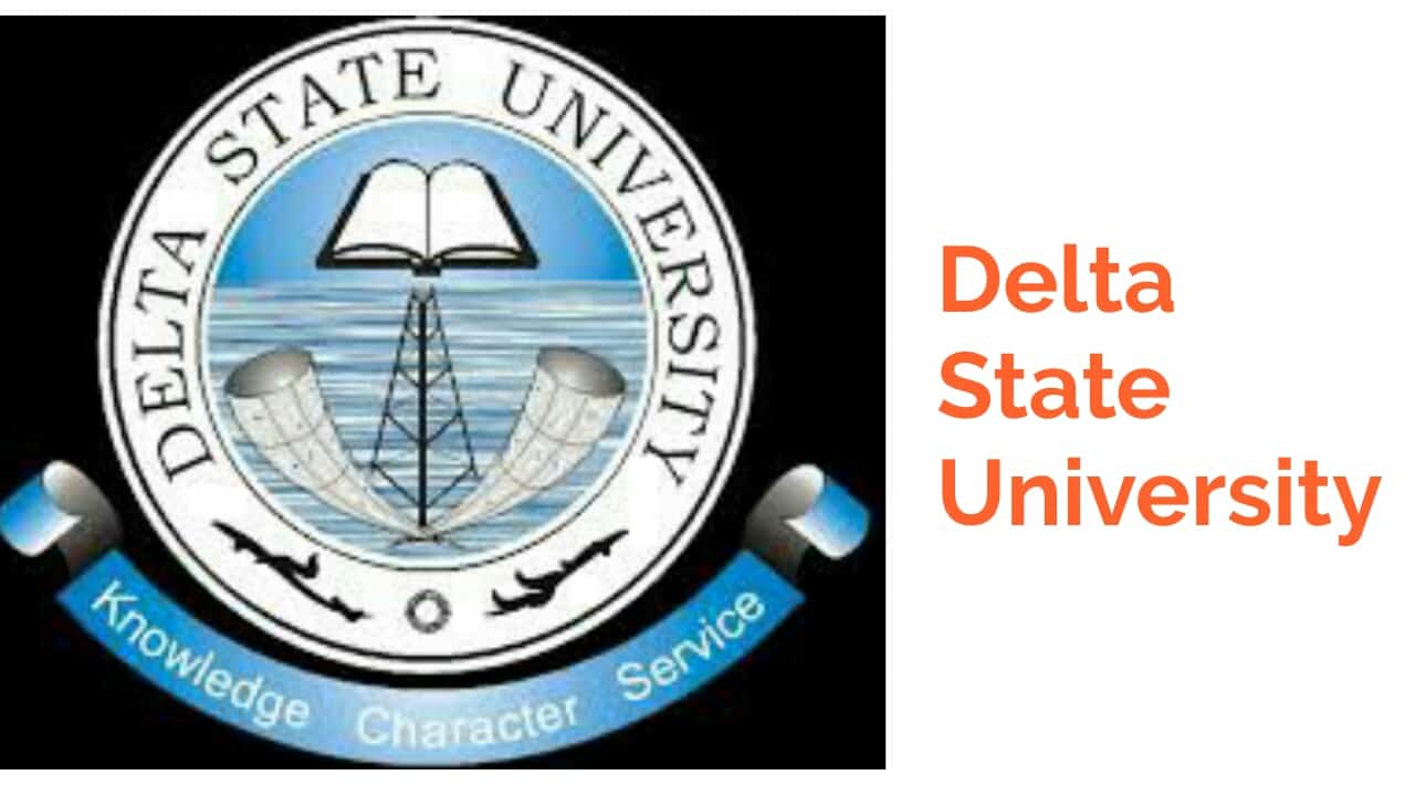 Courses offered in DELSU 2019/2020