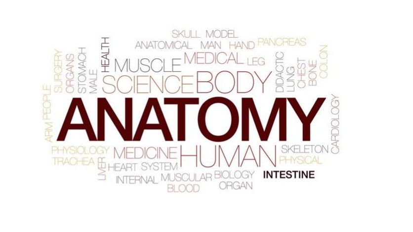 Jamb subject combination for Anatomy